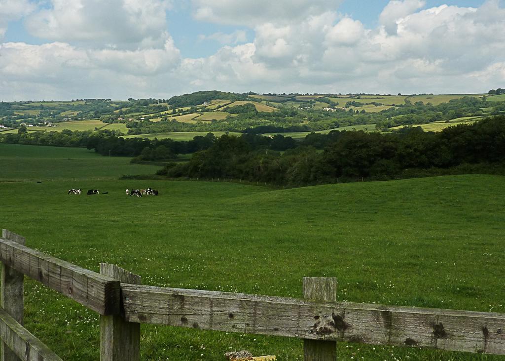 The Black Dog Inn Broadmayne ภายนอก รูปภาพ
